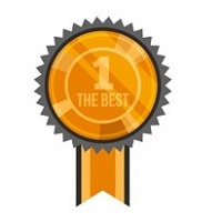 Best Litigation Lawfirm
